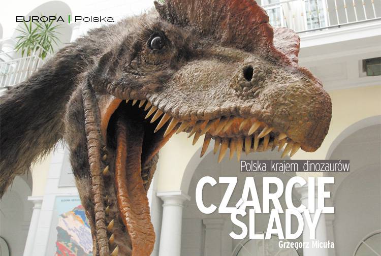 Losowy darmowy artykuł